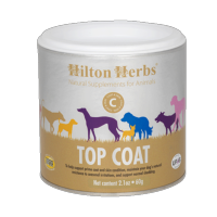 Top Coat contre les problèmes de peau des chiens