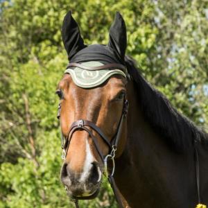 Bonnet thérapeutique Night Collection pour cheval de Back On Track