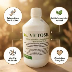 Vétosil, le silicium organique concentré pour le bien-être de vos chats