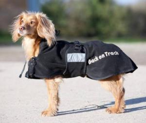 manteau polaire pour chien