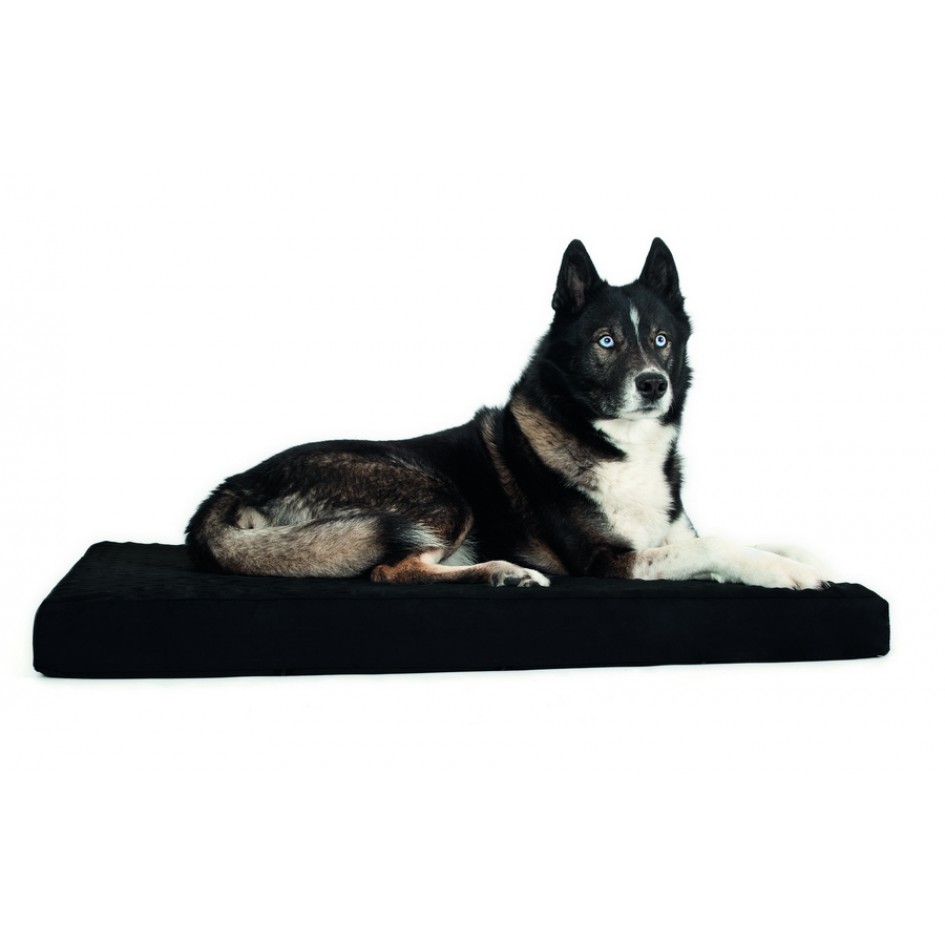 Matelas de récupération thérapeutique Back On Track pour Chiens