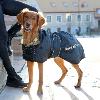 Manteau standard Back On Track pour Chiens