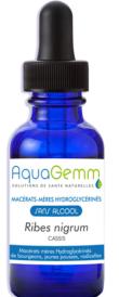 Aquagemm Cassis pour les articulations des personnes