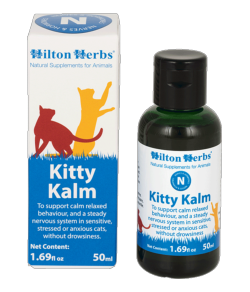Kitty Kalm apaise les chats (promo)