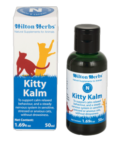 Kitty Kalm apaise les chats (promo)