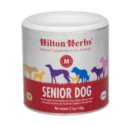 Senior Dog soutient l'organisme des vieux chiens (promo)