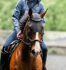 Masque apaisant Horseware® Ionic Therapy