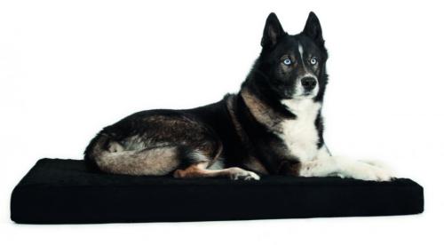 Matelas de récupération thérapeutique Back On Track pour Chiens