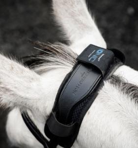 Protège nuque Ionic de Horseware pour détendre le cheval