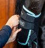 Paire de Protège Jarrets vibrant Ice Vibe de Horseware
