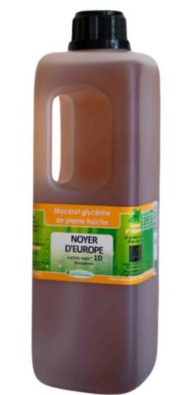 Bourgeons de Noyer Ohm pour une régulation digestive et immunitaire