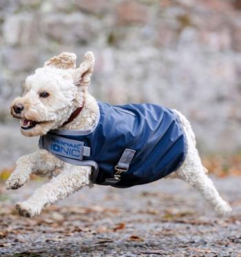 Manteau imper Ionic pour chiens de Horseware
