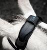 Protège nuque Ionic de Horseware pour détendre le cheval