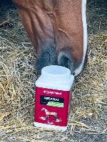 Respiral Poudre contre les allergies respiratoires du cheval 
