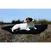 Mini plaid thérapeutique chien de Back On Track (50x68cm)