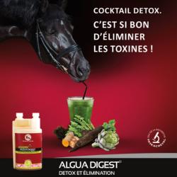 Algua digest draine le foie des chevaux
