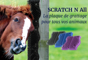 Scratch N All, la plaque de grattage d'Hilton Herbs