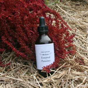 Human External Parasites de Perelandra pour se protéger des insectes