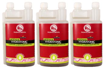 Hydratonic, l'électrolyte en liquide