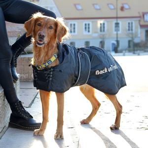 Manteau standard Back On Track pour Chiens