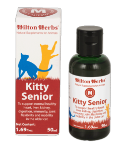 Kitty Senior soutient l'organisme des vieux chats 