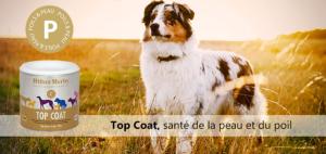 Top Coat contre les problèmes de peau des  chiens (promo)