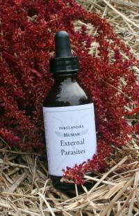 Human External Parasites de Perelandra pour se protéger des insectes