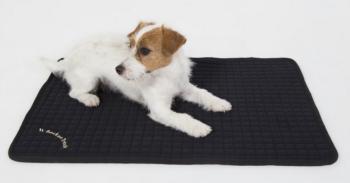 Matelas chien tout usage Back On Track