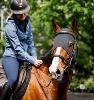 Masque apaisant Horseware® Ionic Therapy