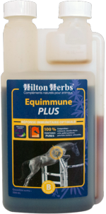 Equimmune Plus la réponse immunité de Hilton Herbs pour chevaux sportifs