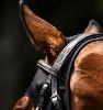 Masque apaisant Horseware® Ionic Therapy