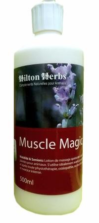 Lotion Muscle Magic pour détendre les muscles des chevaux