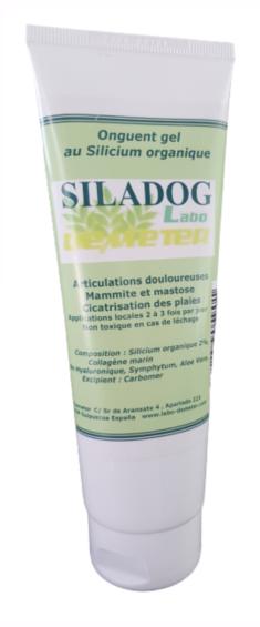 Siladog, le gel naturel contre les douleurs pour le chien