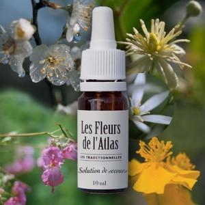 Cocktail personnalisé de fleurs de Bach pour chats