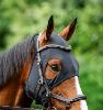 Masque apaisant Horseware® Ionic Therapy