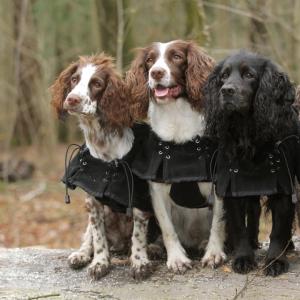 Chemise Polaire Suprême thérapeutique Back On Track pour Chiens