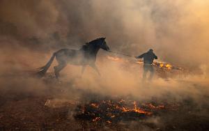 Solidarit� Incendie Gironde Landes